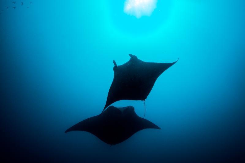 You And Me By Cocoon Maldives Muravandhoo Exterior foto